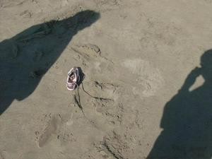 SunMar2220090344PM.jpg