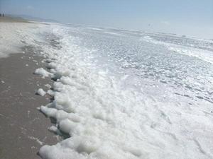 SunMar2220090354PM_2.jpg