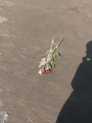 SunMar2220090405PM.jpg