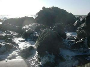 SunMar2220090558PM_3.jpg