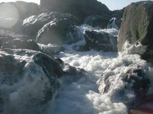 SunMar2220090558PM_5.jpg