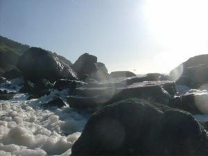 SunMar2220090559PM.jpg