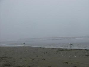 SunMay320090359PM_2.jpg