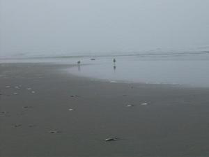 SunMay320090422PM.jpg