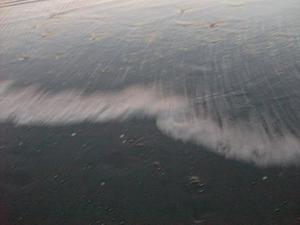 SunNov1620080633PM.jpg