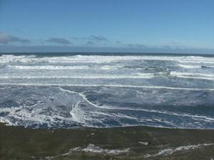 SunNov920081027AM_2.jpg