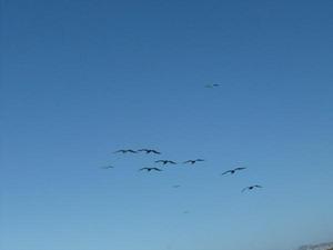 SunNov920081028AM_2.jpg