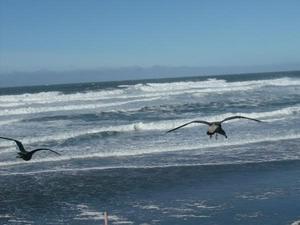 SunNov920081028AM_3.jpg