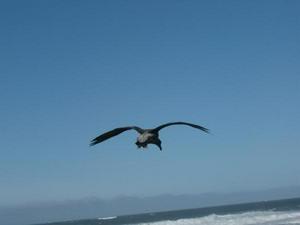 SunNov920081028AM_4.jpg