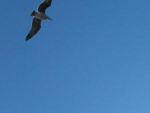 SunNov920081028AM_6.jpg
