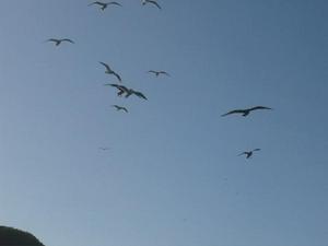 SunNov920081031AM_2.jpg