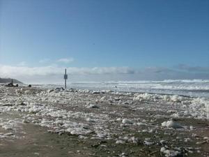 SunNov920081031AM_4.jpg