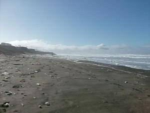 SunNov920081034AM_3.jpg