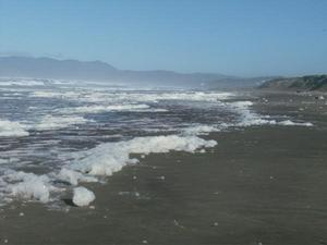 SunNov920081039AM_3.jpg