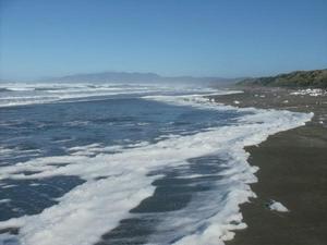 SunNov920081039AM_4.jpg
