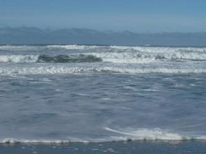 SunNov920081046AM_2.jpg
