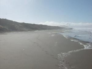 SunNov920081046AM_3.jpg