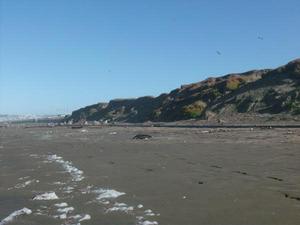 SunNov920081053AM_2.jpg
