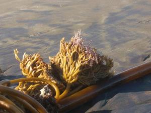 SunNov920081056AM_2.jpg