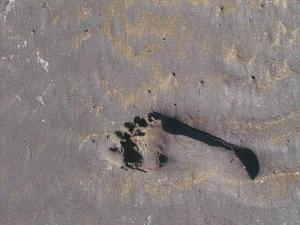 SunNov920081058AM_3.jpg