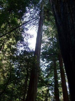 SunOct1920080122PM_2.jpg