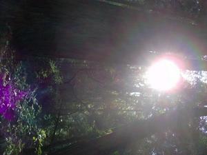 SunOct1920080151PM_2.jpg
