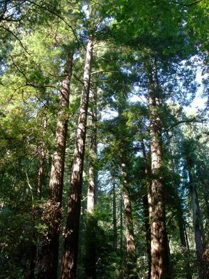 SunOct1920080151PM_3.jpg