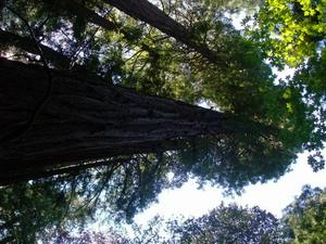 SunOct1920080151PM.jpg