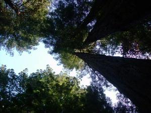 SunOct1920080201PM_2.jpg