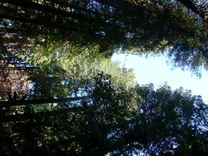 SunOct1920080202PM.jpg