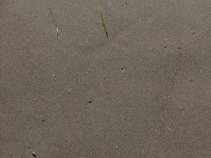 SunOct1920080329PM_4.jpg