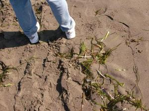 SunOct1920080329PM_5.jpg