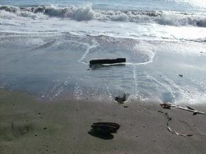 SunOct1920080329PM.jpg