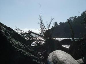 SunOct1920080337PM_4.jpg