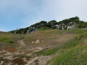 SunOct1920080452PM_3.jpg