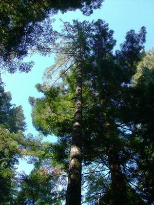 SunOct1920081109AM_2.jpg