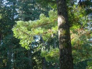 SunOct1920081109AM_3.jpg