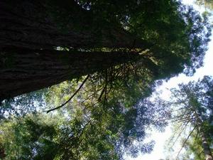 SunOct1920081109AM.jpg