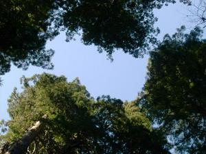 SunOct1920081115AM_2.jpg