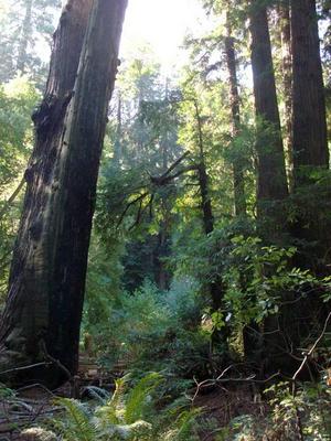 SunOct1920081116AM_2.jpg