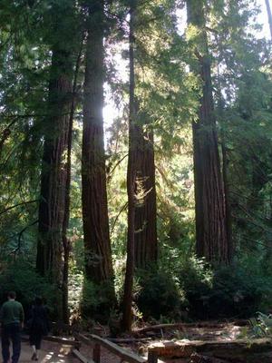 SunOct1920081116AM_3.jpg