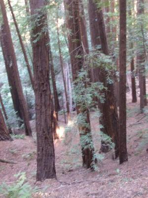 SunOct1920081142AM.jpg