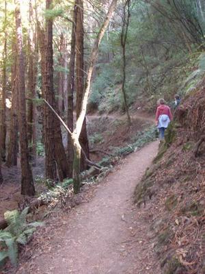 SunOct1920081203PM_3.jpg