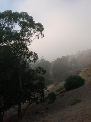 SunOct2620080520PM_2.jpg