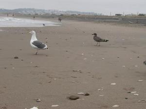 SunSep2820080114PM_6.jpg