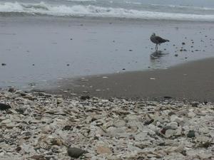 SunSep2820080116PM_4.jpg