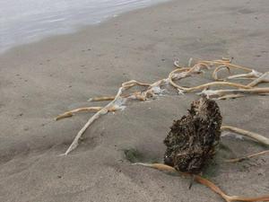 SunSep2820081202PM_2.jpg