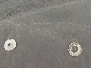 SunSep2820081218PM_2.jpg