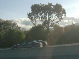 ThuMay2120090704PM.jpg