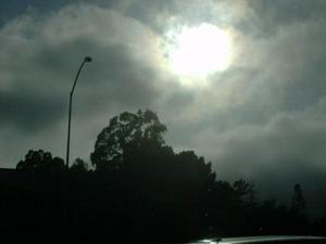 ThuMay2120090705PM_4.jpg